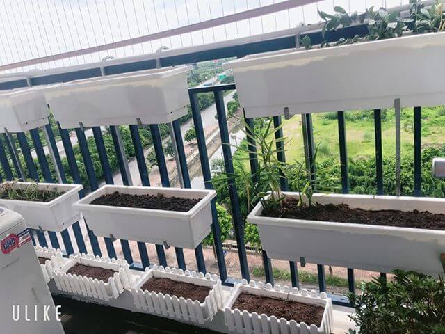 Móc treo ban công 2 tầng chậu trồng rau hoa – Kệ trồng rau tại nhà